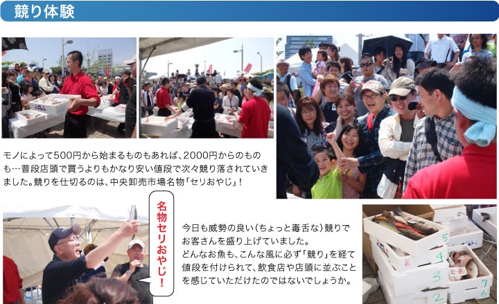 競り体験